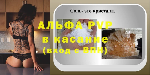 стафф Бородино