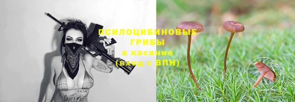 mdpv Сафоново
