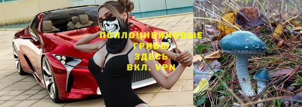 spice Сатка