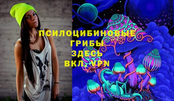 spice Сатка